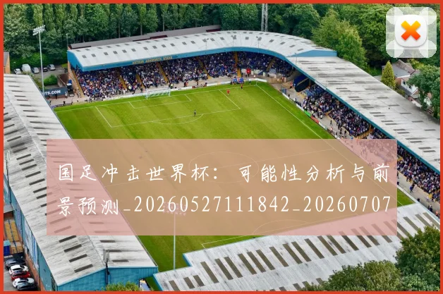 国足冲击世界杯:可能性分析与前景预测_20260527111842_20260707013926