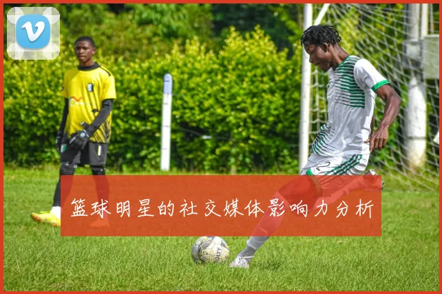 篮球明星的社交媒体影响力分析